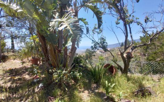 Casa de campo ubicada Arafo