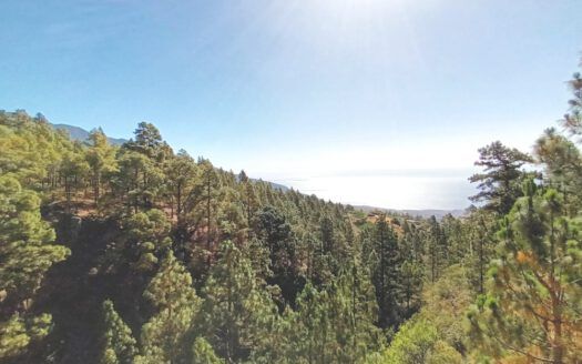 Se vende propiedad singular en el monte de los Frailes en los altos de Arafo