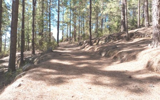 Se vende propiedad singular en el monte de los Frailes en los altos de Arafo
