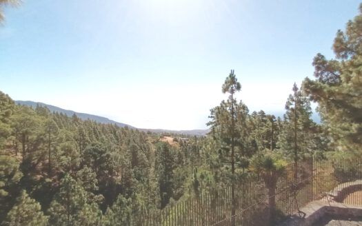 Se vende propiedad singular en el monte de los Frailes en los altos de Arafo