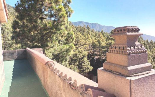 Se vende propiedad singular en el monte de los Frailes en los altos de Arafo