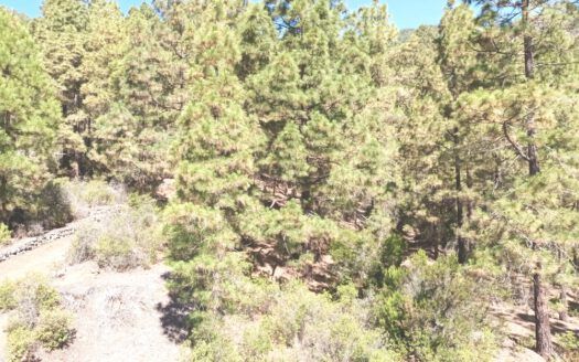 Se vende propiedad singular en el monte de los Frailes en los altos de Arafo