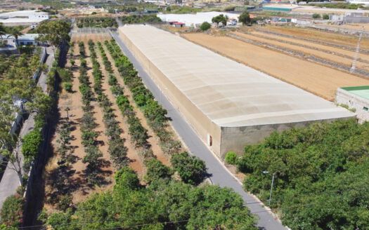 Se vende fantástica finca en Güímar