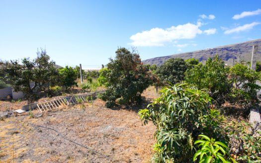Se vende fantástica finca en Güímar