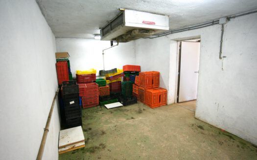 Se vende fantástica finca en Güímar