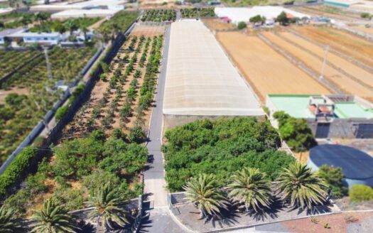 Se vende fantástica finca en Güímar