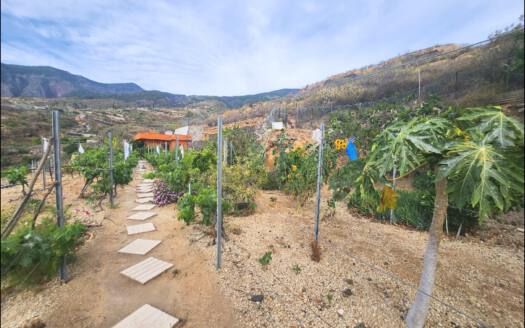 Se vende encantadora casa con terreno en Güímar