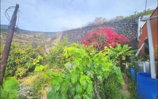 Se vende encantadora casa con terreno en Güímar