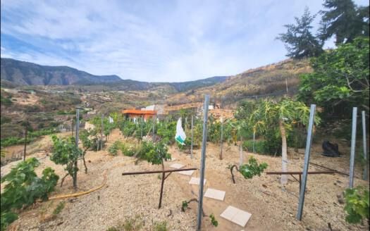 Se vende encantadora casa con terreno en Güímar