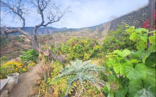 Se vende encantadora casa con terreno en Güímar