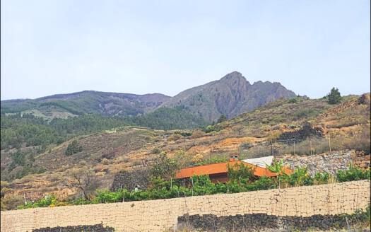 Se vende encantadora casa con terreno en Güímar