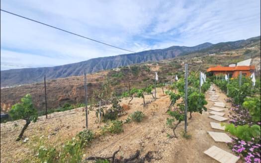 Se vende encantadora casa con terreno en Güímar