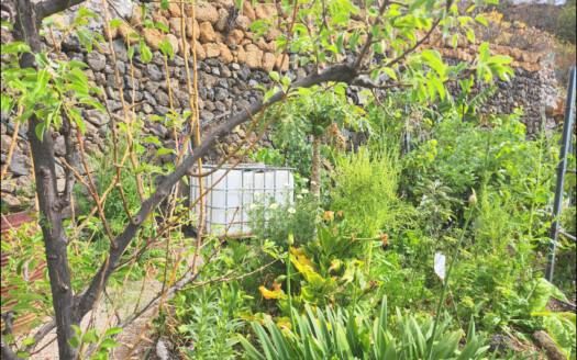 Se vende encantadora casa con terreno en Güímar