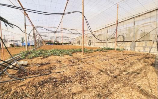 Se vende bonita propiedad en Arico zona Marzagán