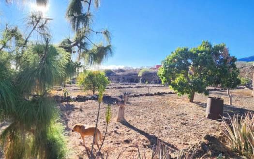 Se vende en Güímar, terreno con vivienda legalizada en Chogo