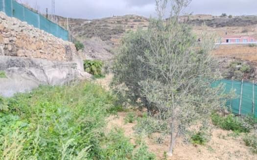 Se vende magnífica finca en Fasnia