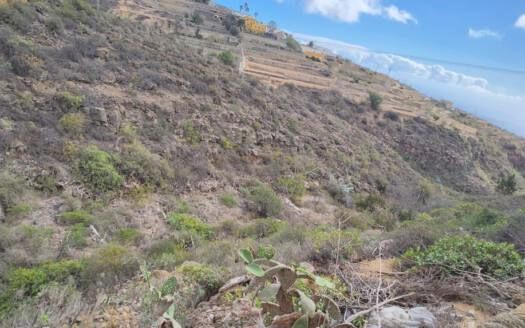Se vende magnífica finca en Fasnia