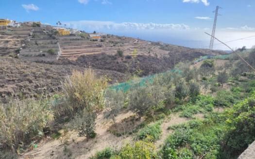 Se vende magnífica finca en Fasnia