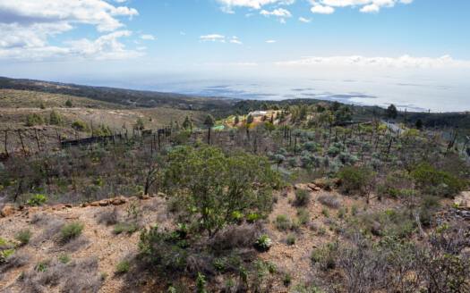 Se vende fantástica finca con vivienda