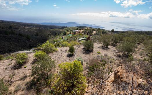 Se vende fantástica finca con vivienda