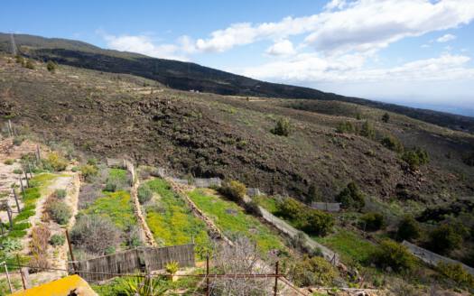 Se vende fantástica finca con vivienda