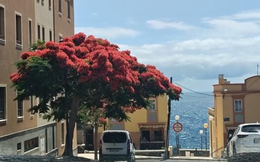 Se vende casa en Candelaria