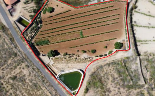 Se vende finca en zona de Arico