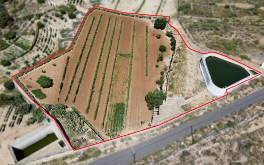 Se vende finca en zona de Arico