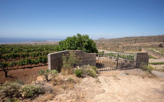 Se vende finca en zona de Arico