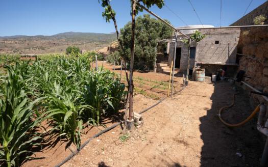Se vende finca en zona de Arico