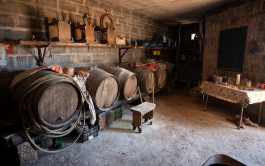 Se vende finca en zona de Arico