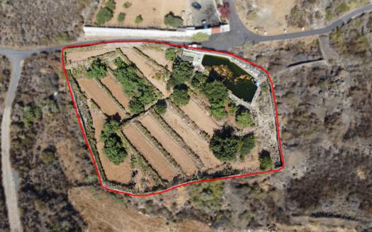 Se vende bonita finca rustica en Güímar