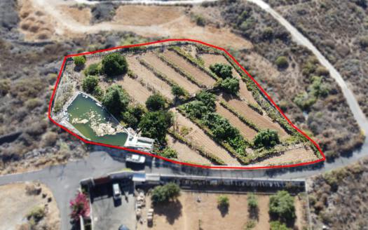 Se vende bonita finca rustica en Güímar