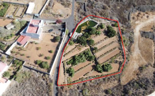 Se vende bonita finca rustica en Güímar