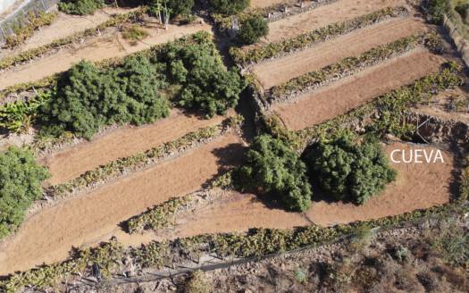 Se vende bonita finca rustica en Güímar