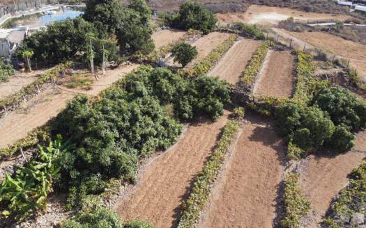 Se vende bonita finca rustica en Güímar
