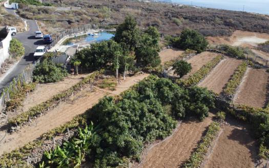 Se vende bonita finca rustica en Güímar