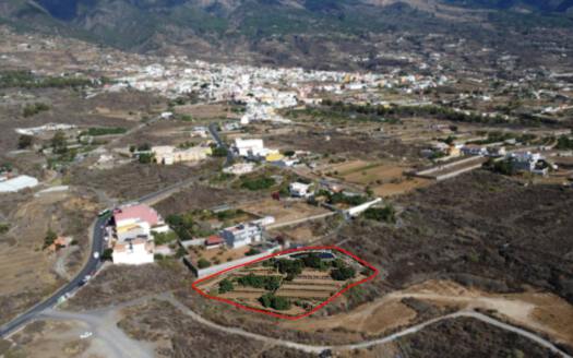 Se vende bonita finca rustica en Güímar Se vende bonita finca rustica en Güímar