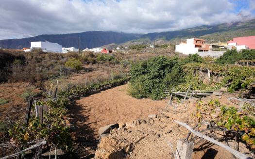 Se vende bonita finca rustica en Güímar
