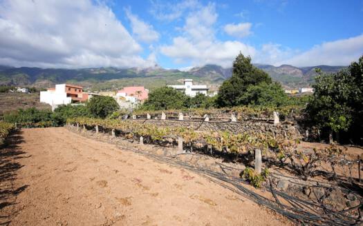 Se vende bonita finca rustica en Güímar