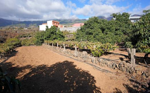 Se vende bonita finca rustica en Güímar