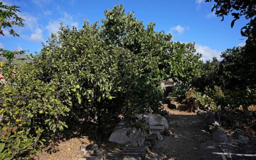 Se vende bonita finca rustica en Güímar