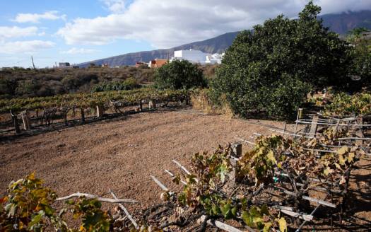 Se vende bonita finca rustica en Güímar