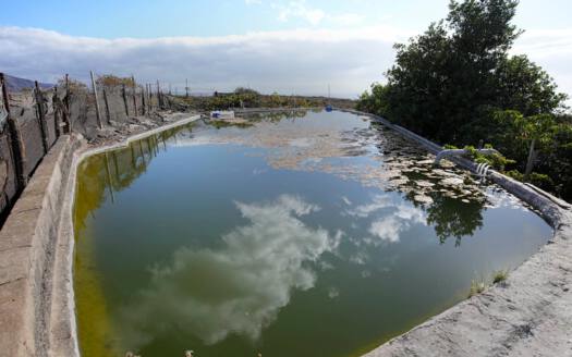 Se vende bonita finca rustica en Güímar